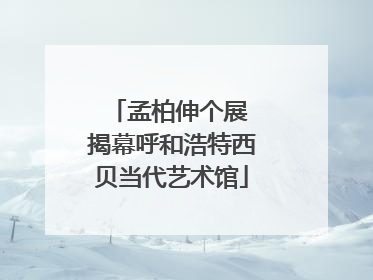 孟柏伸个展 揭幕呼和浩特西贝当代艺术馆